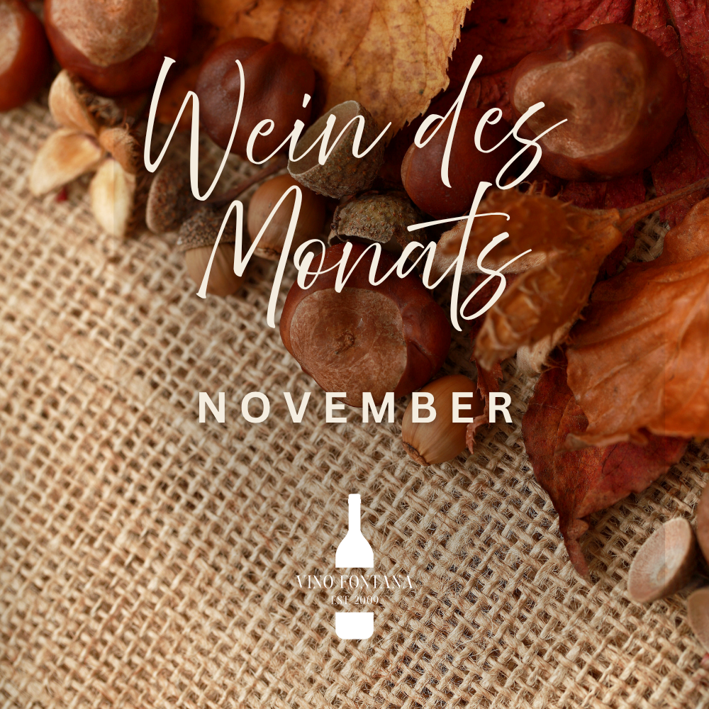 Benatti Merlot Novello 2025 I.G.T. 12 % Vol.